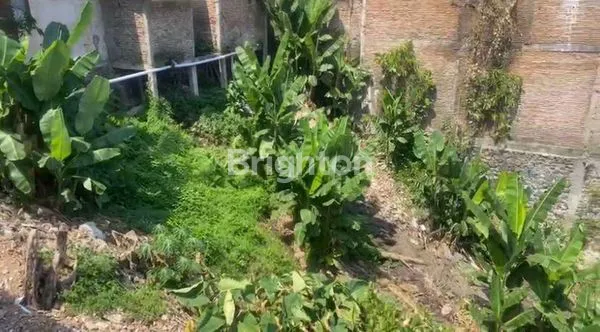 image INVESTASI TANAH DEKAT KAMPUS & DPR (3)