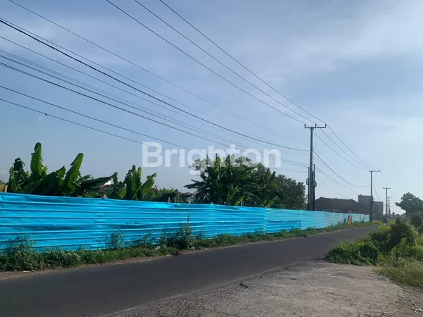 image SEWA TANAH 3 ARE MURAH DI DEKAT PANTAI KEDUNGU - HARGA 7 JUTA/ARE/TAHUN! (4)