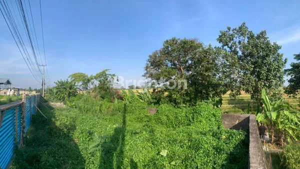 image TANAH STRATEGIS DEKAT PANTAI KEDUNGU (2)