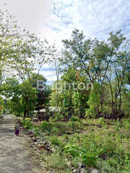 image DIJUAL MURAH & CEPAT TANAH 800 M² LOKASI STRATEGIS DI WURYANTORO, WONOGIRI (8)