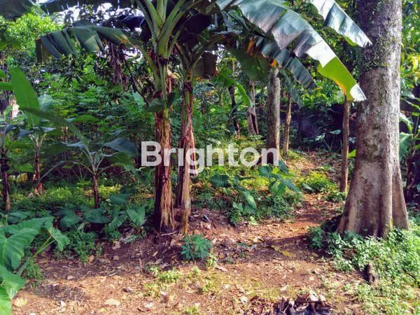 image TANAH LOKASI STRATEGIS BOGOR TIMUR (2)