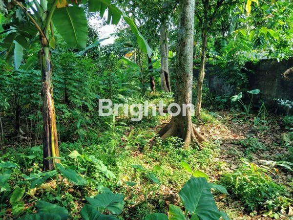 image TANAH LOKASI STRATEGIS BOGOR TIMUR (3)