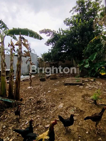 image TANAH SIAP BANGUN BUMIAYU MALANG (2)