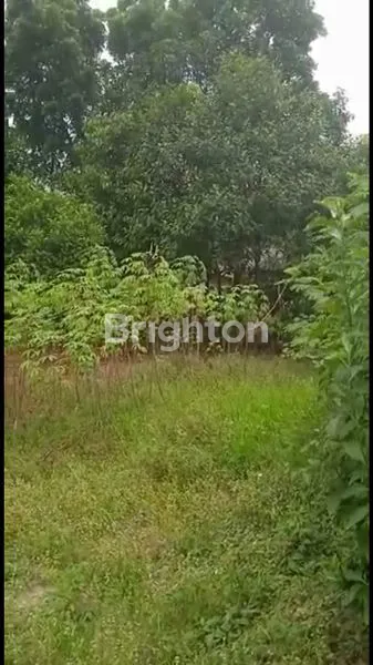 image DIJUAL TANAH (3)