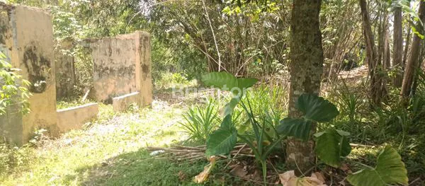 image TANAH PEKARANGAN MOJOGEDANG KARANGANYAR  COCOK UNTUK HUNIAN, RUMAH  MAKAN, VILLA / PENGINAPAN (7)