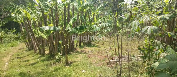 image TANAH PEKARANGAN MOJOGEDANG KARANGANYAR  COCOK UNTUK HUNIAN, RUMAH  MAKAN, VILLA / PENGINAPAN (8)