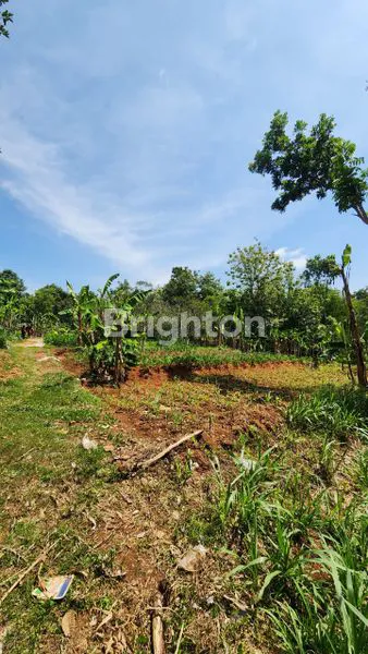 image TANAH PEKARANGAN MOJOGEDANG KARANGANYAR  COCOK UNTUK HUNIAN, RUMAH  MAKAN, VILLA / PENGINAPAN (4)