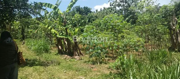 image TANAH PEKARANGAN MOJOGEDANG KARANGANYAR  COCOK UNTUK HUNIAN, RUMAH  MAKAN, VILLA / PENGINAPAN (3)