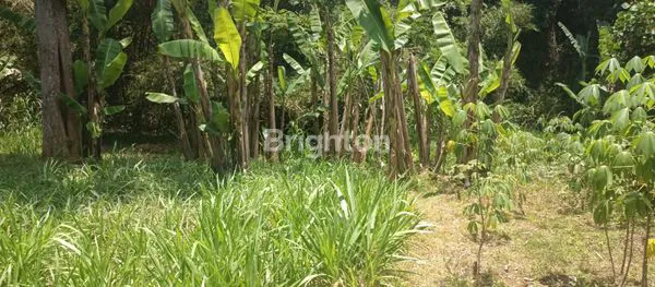 image TANAH PEKARANGAN MOJOGEDANG KARANGANYAR  COCOK UNTUK HUNIAN, RUMAH  MAKAN, VILLA / PENGINAPAN (6)