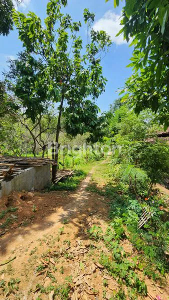 image TANAH PEKARANGAN MOJOGEDANG KARANGANYAR  COCOK UNTUK HUNIAN, RUMAH  MAKAN, VILLA / PENGINAPAN (2)