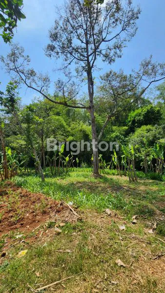 image TANAH PEKARANGAN MOJOGEDANG KARANGANYAR  COCOK UNTUK HUNIAN, RUMAH  MAKAN, VILLA / PENGINAPAN (5)