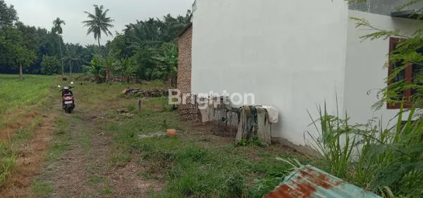 image TANAH KAVLING JL DALU TG MORAWA (4)