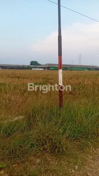 image TANAH MURAH DI HAURGEULIS (2)