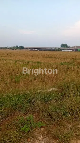 image TANAH MURAH DI HAURGEULIS (1)