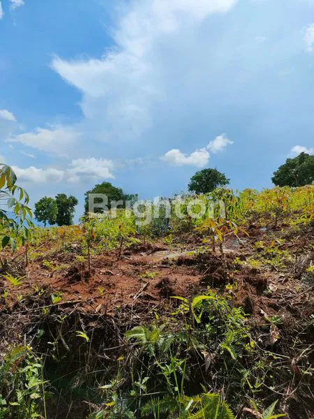 image TANAH DESA PABUARAN, KABUPATEN BOGOR TIMUR (2)