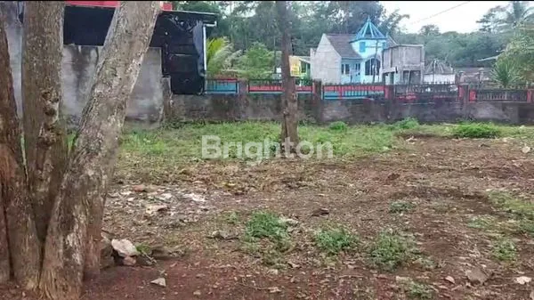 TANAH LUAS 297M² DI BLOTONGAN SALATIGA