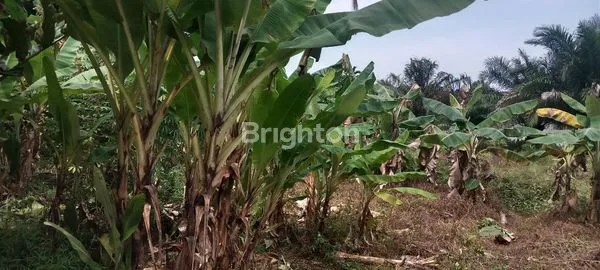 image TANAH KOMERSIAL 480M2 DI TENGAH KOTA JL. ARJUNA (2)