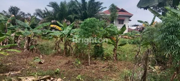 image TANAH KOMERSIAL 480M2 DI TENGAH KOTA JL. ARJUNA (1)