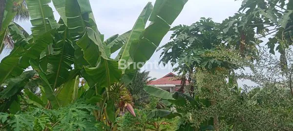 image TANAH KOMERSIAL 480M2 DI TENGAH KOTA JL. ARJUNA (3)