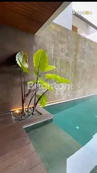 image VILLA MINIMALIS 3 BEDROOM DENGAN NUANSA HIJAU DI CANGGU BALI (1)