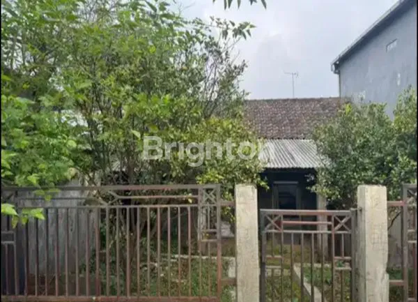 image VILLA LUAS MURAH DI PUNCAK GUNUNG AREA CANGAR BUMIAJI KOTA BATU (4)