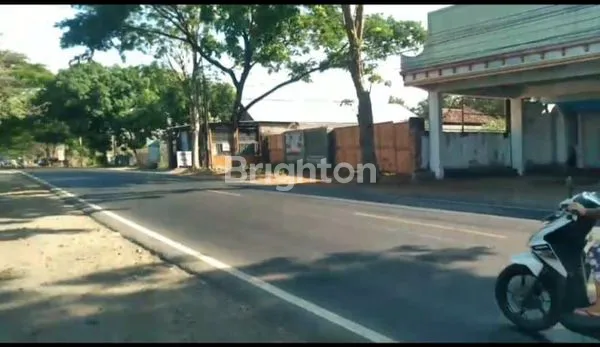 image GUDANG WONGSOREJO BANYUWANGI (2)