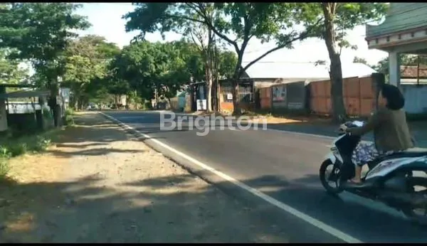 image GUDANG WONGSOREJO BANYUWANGI (4)