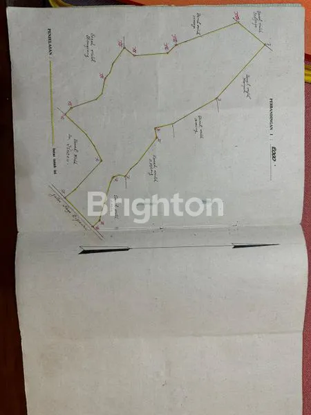 image TANAH KEBUN LUAS 5 HEKTAR DI SAJIRA LEBAK (4)