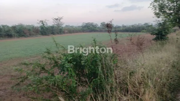 image LAHAN STRATEGIS 4.000M² BENJENG (3)