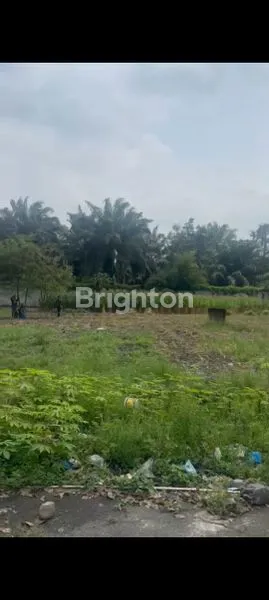 image JUAL TANAH SHM MEDAN - BINJAI KM 14 BINTANG TERANG (1)