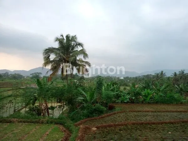 image DIJUAL CEPAT,BU (8)