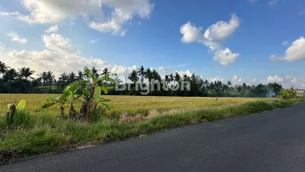 image JUAL TANAH SHM 34 ARE DI JALAN UTAMA KABA-KABA (2)