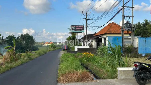 image JUAL TANAH SHM 34 ARE DI JALAN UTAMA KABA-KABA (6)