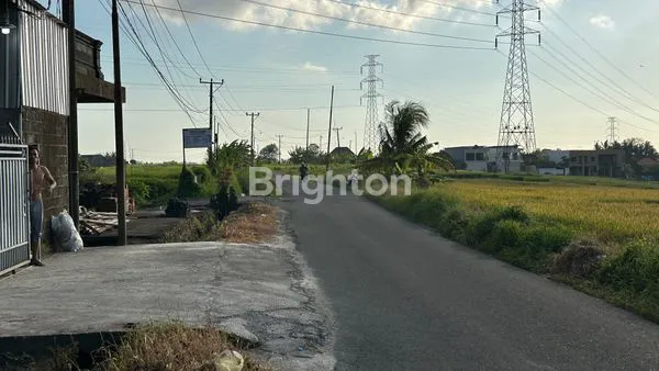 image JUAL TANAH SHM 34 ARE DI JALAN UTAMA KABA-KABA (7)