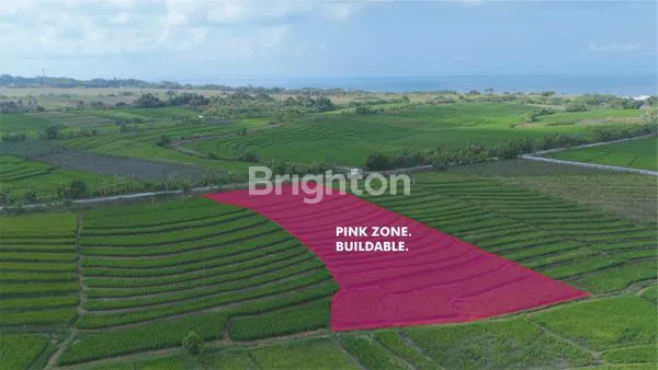 image DISEWAKAN TANAH LEASEHOLD 30 TAHUN DI TIBUBIU – DEKAT PANTAI KELATING, TABANAN (2)