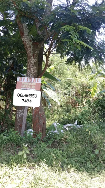 TANAH LUAS 561M² DI BERGAS, DEKAT INDUSTRI & TOL