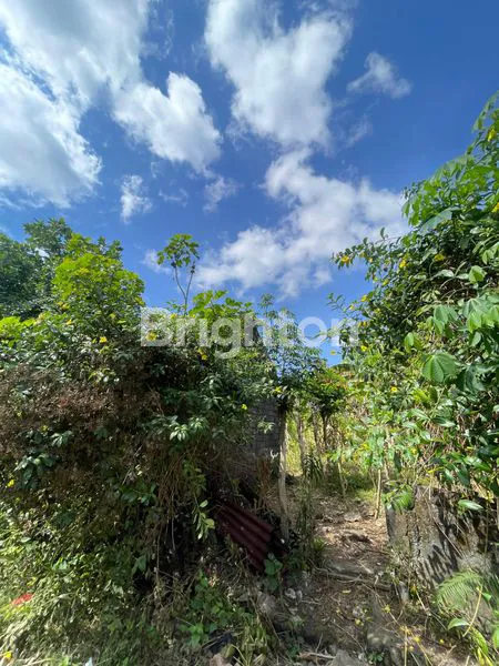 image TANAH STRATEGIS DI BALANGAN BADUNG  (5)