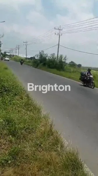 image INVESTASI GUDANG 9M DI GRESIK LOKASI PRIME (4)