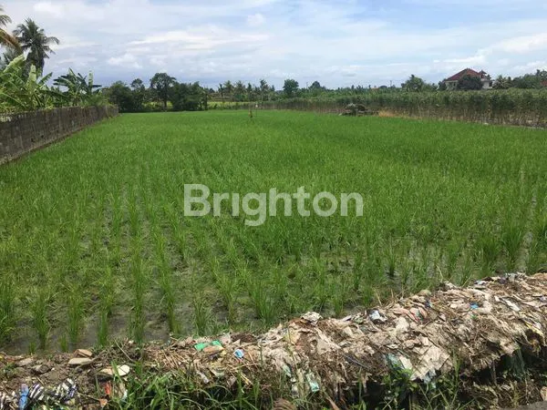 image TANAH 35.5 ARE PINGGIR JALAN RAYA KLATING – ZONA KUNING, COCOK UNTUK VILLA & INVESTASI! DEKAT PANTAI KELATING & SOORI BALI   (3)