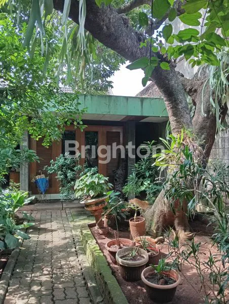 image INVESTASI RUMAH LT 874 LOKASI STRATEGIS (1)