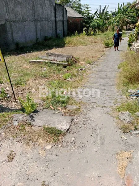 image TANAH DIJUAL MURAH DEKAT SURABAYA NOL. RAYA ASPAL (1)