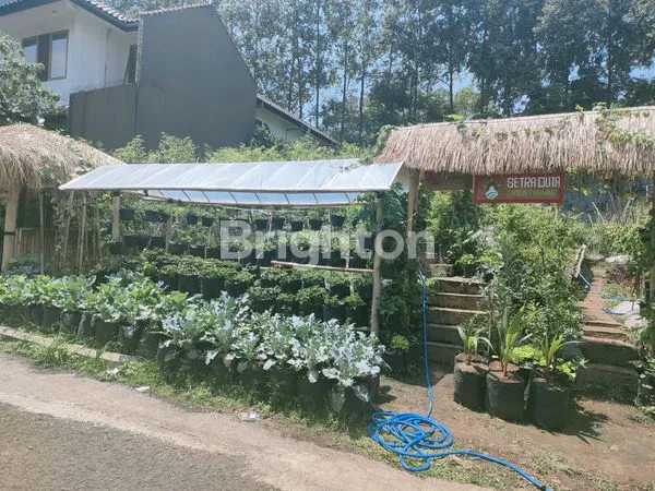 image TANAH SETRADUTA  (1)