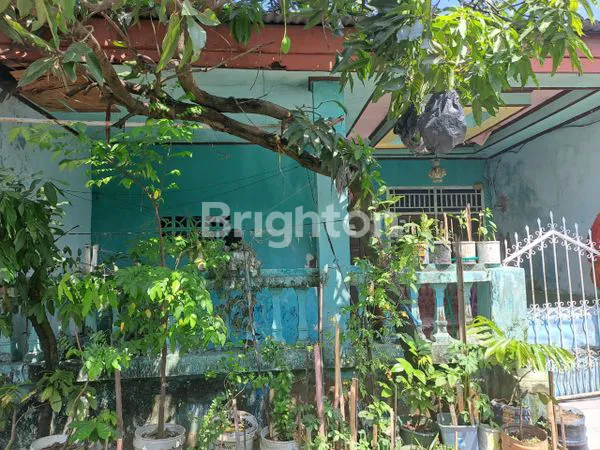 image RUMAH  BTN NUSA INDAH, PALANGGA (3)