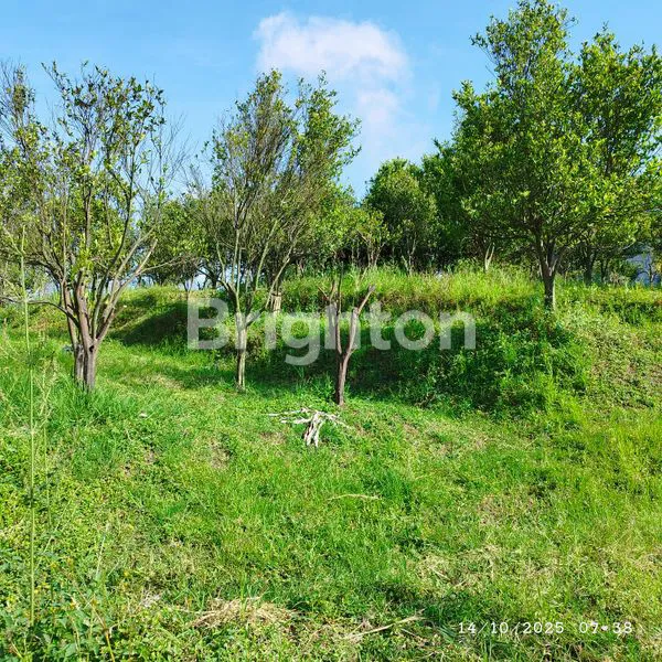 image TANAH MURAH SUMBERGONDO BATU 3000 M² (1)