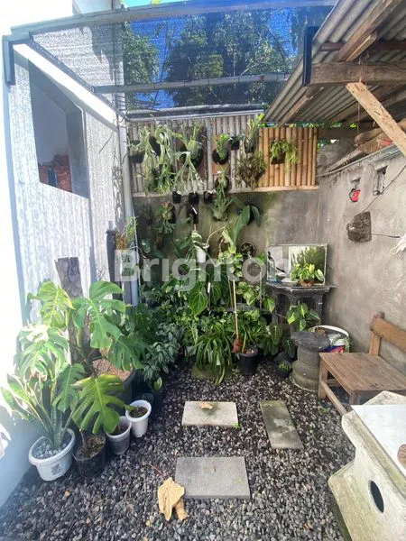 image RUMAH KONTRAK DI GATOT SUBROTO (6)