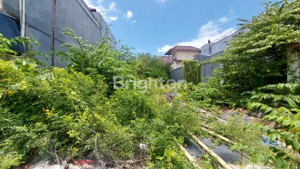 image TANAH KOMERSIL LOKASI PREMIUM PINGGIR JALAN UTAMA KAWASAN RENON (1)