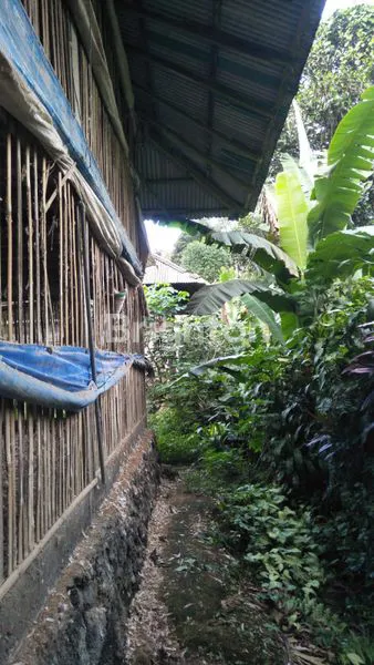 image TANAH LUAS 8.450M² DI PAYANGAN DEKAT UBUD (7)