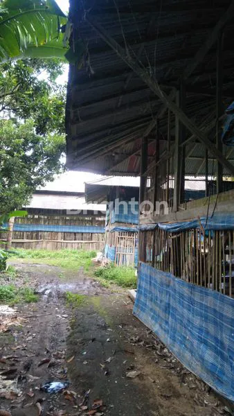 image TANAH LUAS 8.450M² DI PAYANGAN DEKAT UBUD (4)