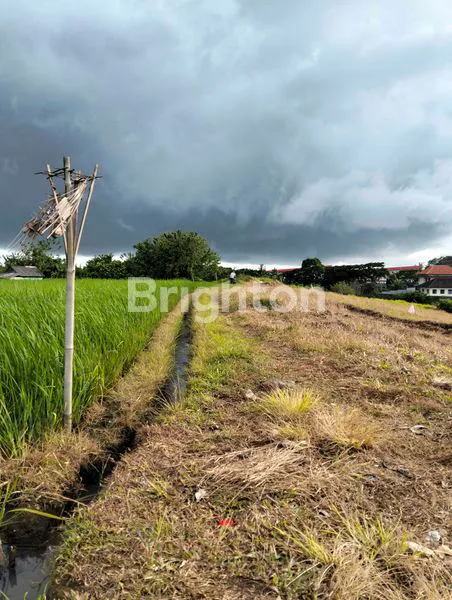 TANAH LUAS 7070M² DI SELEMADEG