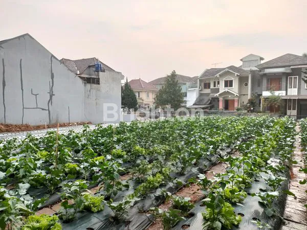 image KAVLING STRATEGIS SETRA DUTA SHM 360M² (1)